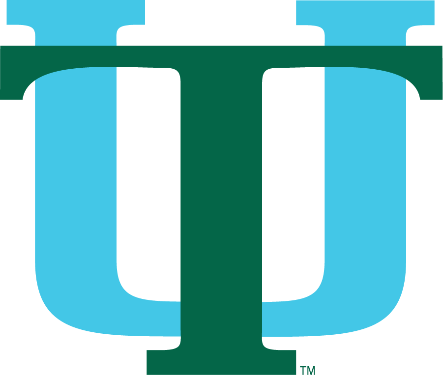 Tulane Green Wave 1976-1984 Secondary Logo iron on transfers for clothing